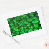 Sticker Rectangulaire Lucky Celtic Irish Green Shamrocks (Enveloppe)