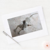 Sticker Rectangulaire Luk Maa ... Chien chiot thaïlandais Soi (Enveloppe)