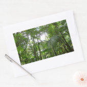 Sticker Rectangulaire Lumière du soleil à travers la canopée de la forêt (Enveloppe)