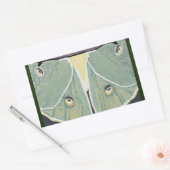 Sticker Rectangulaire Luna Moth Peinture numérique Coussin de l'accent (Enveloppe)