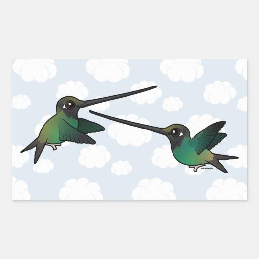 Sticker Rectangulaire Lutte contre les épées-Hummingbirds (Devant)