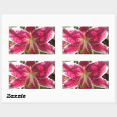 Sticker Rectangulaire Lys roses fleurs tropicales roses rose (Feuille)