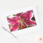 Sticker Rectangulaire Lys roses fleurs tropicales roses rose (Enveloppe)