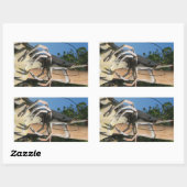 Sticker Rectangulaire M. Crustacean AKA Tête de homard ... Enfer bouddhi (Feuille)