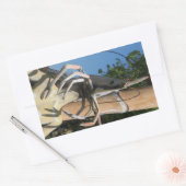 Sticker Rectangulaire M. Crustacean AKA Tête de homard ... Enfer bouddhi (Enveloppe)