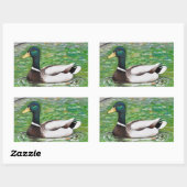 Sticker Rectangulaire M. Mallard Peinture de canard (Feuille)