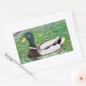 Sticker Rectangulaire M. Mallard Peinture de canard (Enveloppe)