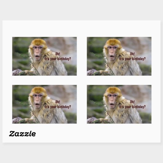 Sticker Rectangulaire Macaca sylvanus (Feuille)