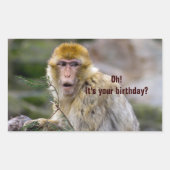 Sticker Rectangulaire Macaca sylvanus (Devant)