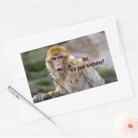 Sticker Rectangulaire Macaca sylvanus (Enveloppe)