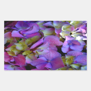 Sticker Rectangulaire Magenta Purple bleu jaune Hydrangeas fleurs
