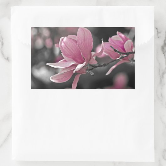 Sticker Rectangulaire Magnolia (Sac)