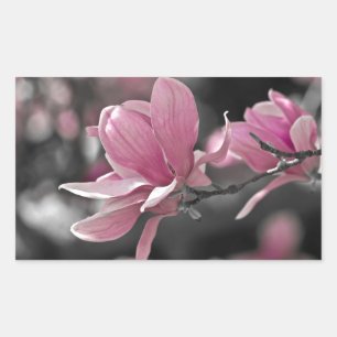 Sticker Rectangulaire Magnolia