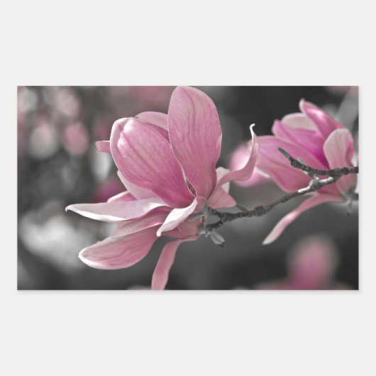 Sticker Rectangulaire Magnolia (Devant)