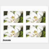 Sticker Rectangulaire Magnolia blossom (Feuille)