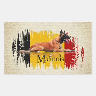 Sticker Rectangulaire Malinois - berger belge - Mechelaar - Maligator