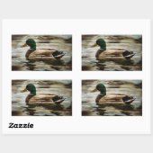 Sticker Rectangulaire Mallard Duck (Feuille)
