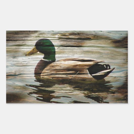 Sticker Rectangulaire Mallard Duck (Devant)