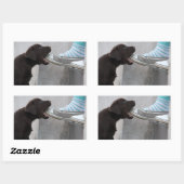 Sticker Rectangulaire Mange Ma Chaussure ! Labrador Puppy (Feuille)