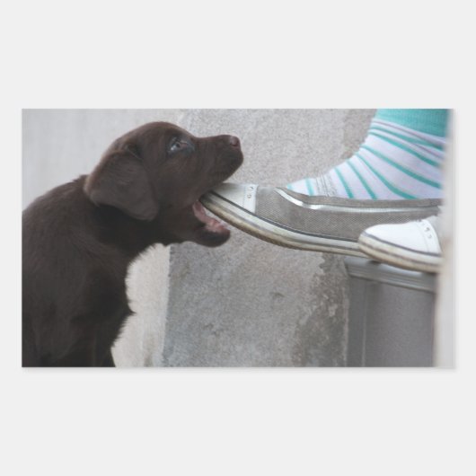 Sticker Rectangulaire Mange Ma Chaussure ! Labrador Puppy (Devant)