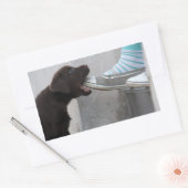 Sticker Rectangulaire Mange Ma Chaussure ! Labrador Puppy (Enveloppe)