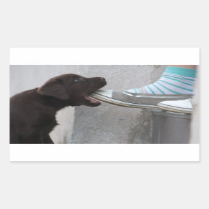 Sticker Rectangulaire Mange Ma Chaussure ! Labrador Puppy
