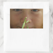 Sticker Rectangulaire Mantis religiosa (Sac)