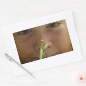 Sticker Rectangulaire Mantis religiosa (Enveloppe)