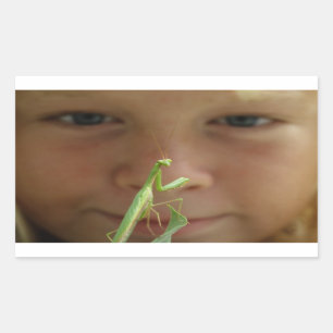 Sticker Rectangulaire Mantis religiosa