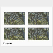 Sticker Rectangulaire Manuka Tree Forest Nouvelle-Zélande (Feuille)
