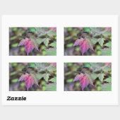 Sticker Rectangulaire Mapleleaf Viburnum Feuilles d'automne et baies (Feuille)