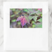 Sticker Rectangulaire Mapleleaf Viburnum Feuilles d'automne et baies (Sac)
