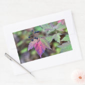 Sticker Rectangulaire Mapleleaf Viburnum Feuilles d'automne et baies (Enveloppe)