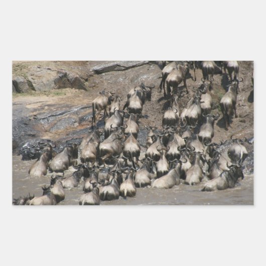 Sticker Rectangulaire mara wilde (Devant)