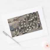 Sticker Rectangulaire mara wilde (Enveloppe)