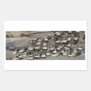 Sticker Rectangulaire mara wilde