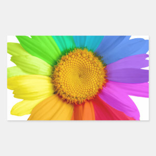 Sticker Rectangulaire Marguerite d'arc-en-ciel