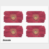 Sticker Rectangulaire Marguerite de Transvaal (Feuille)