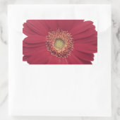 Sticker Rectangulaire Marguerite de Transvaal (Sac)
