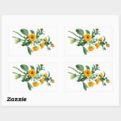 Sticker Rectangulaire Marigolds Ensoleillé Dessiné De La Nature (Feuille)