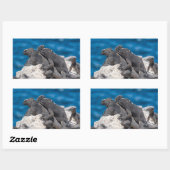 Sticker Rectangulaire Marine Iguana (Feuille)