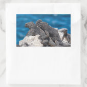 Sticker Rectangulaire Marine Iguana (Sac)