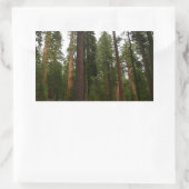 Sticker Rectangulaire Mariposa Grove dans le parc national de Yosemite (Sac)