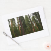 Sticker Rectangulaire Mariposa Grove dans le parc national de Yosemite (Enveloppe)