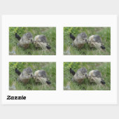 Sticker Rectangulaire Marmotte (Feuille)