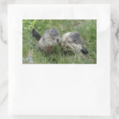 Sticker Rectangulaire Marmotte (Sac)
