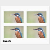 Sticker Rectangulaire Martin pêcheur. (Feuille)