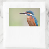 Sticker Rectangulaire Martin pêcheur. (Sac)