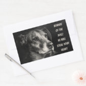 Sticker Rectangulaire Méfiez-vous du chien, photo de l'animal de compagn (Enveloppe)