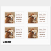 Sticker Rectangulaire Meilleur Sourcil Unique d'Alpaca (Feuille)